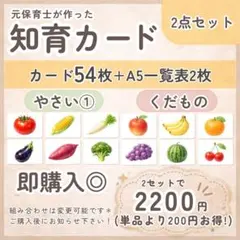 【GW限定割引】知育カード フラッシュカード 0歳 1歳 2歳 保育 セット