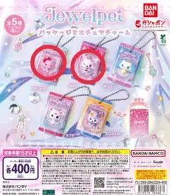 ジュエルペット パッケージミニチュアチャーム ルビー&ガーネット