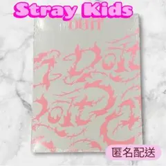 StrayKids スキズ DO IT IT VER CD 開封済 リノ