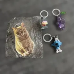 めじるしアクセサリー　4個セット