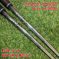 2026年最新】ダイナミックゴールドdst s200の人気アイテム - メルカリ