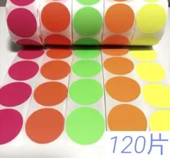 Item thumbnail for item 5983263e-f4f4-45ce-abde-3d58d60f9816