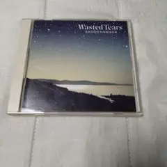 浜田省吾 Wasted Tears CDワンオーナー。
