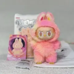 〖正規品 美品〗labubuラブブ Biginto Energy LOYALTY