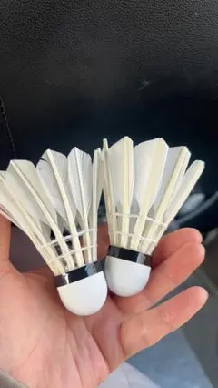 Item thumbnail for item 9de32534-d97a-4e67-bf55-5350bb15253b