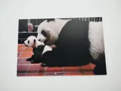 JARI様 リクエスト 3点 まとめ商品