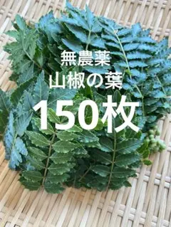 2026年最新】山椒 葉の人気アイテム - メルカリ