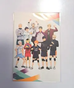 ハイキュー!!　10周年記念展描き下ろし ポストカード2枚セット
