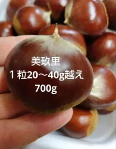 2025年最新】生栗の人気アイテム - メルカリ