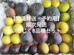 8/23収穫】常温発送 地域限定○福岡県産いちじく8品種セット（品種名