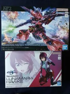 ＨＧ ゲルググメナース＋ルナマリア・ホークまとめ値引きあり