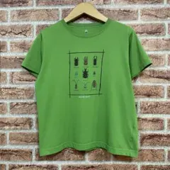 モンベル mont-bell 昆虫柄Tシャツ ショート丈green