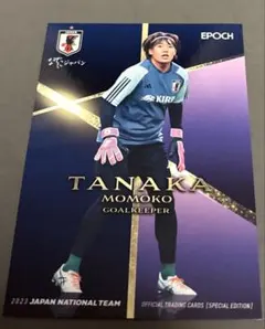 Item thumbnail for item fd7643dd-157c-424b-9dea-b60d666ae107