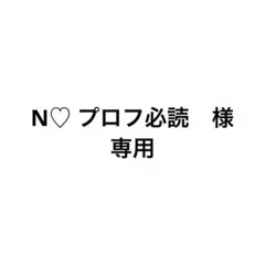 N♡ プロフ必読　様　専用