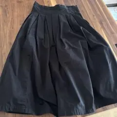 ブラック フレアスカート プリーツのサムネイル