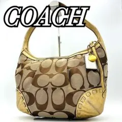 Coach One-Shoulder Hobo Signature y2k