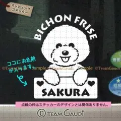 ビションフリーゼ　名前入　カッティング　ステッカー ドッグインカー　シール　犬