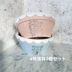 リメイク鉢 ガーデニング