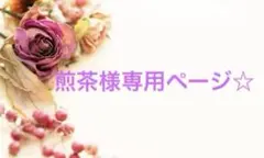 煎茶様 リクエスト 4点まとめ商品