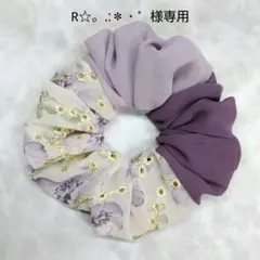 R☆。.:＊・゜様専用