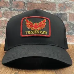 Item thumbnail for item 6c17164f-bc4f-44ab-b5a5-6bfe0a28626d