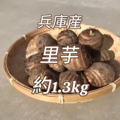 土付き 里芋 兵庫産 もっちり 美味 新鮮 さといも サトイモ 芋 約1.3kg