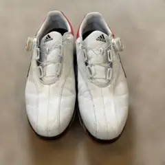 Item thumbnail for item 29d6f0a8-ee35-40af-90fc-ed92b328909f