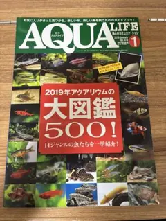 Item thumbnail for item d091b1d6-7cb4-4c63-9b82-595e10ed45ff