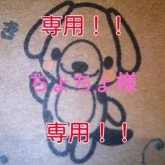 ちょちょ様専用☆