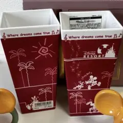 ポップコーン　ディズニー　食器　ディズニーリゾート　スナックカップ