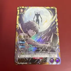 psa10 エヴァンゲリオン カオル・ナギサ トレーディングカード 2025年最新】Yahoo!オークション -渚カヲル カードの中古品・新品・未