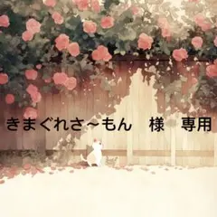 きまぐれさ〜もん様　専用