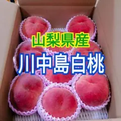 山梨県産　桃の王様　川中島白桃　2kg箱　ドリップ農法のサムネイル
