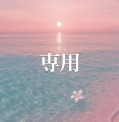 Y様 専用ページ