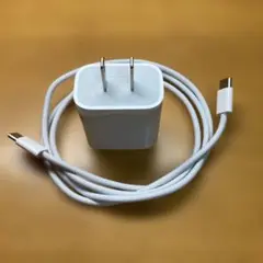 Apple 純正 20W充電器＆USB-Cケーブルセット
