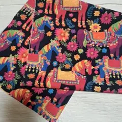 Item thumbnail for item 8a25e6e9-53a7-44a9-8a8e-fd3a02b2d0b5