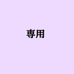 専用1