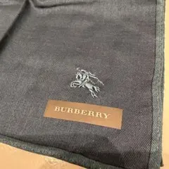 Item thumbnail for item cb9baff8-ac43-4631-a2a5-acbac115758a