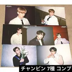 Straykids チャンビン ポストカードセット 展覧会