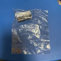 フェルメールサウンドキーホルダー