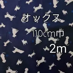 Item thumbnail for item 424312d6-788e-47d8-afda-9ba4afe1e67e