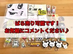 甲斐バンド45+1周年赤レンガ倉庫ライブVIP席特典ギターピックセットと