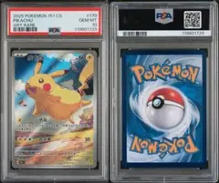 2026年最新】ピカチュウAr 中国の人気アイテム - メルカリ