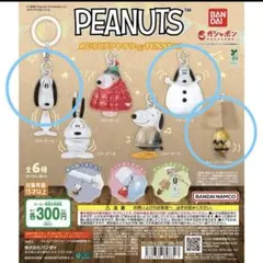 PEANUTS スヌーピー めじるしアクセサリー３つセット