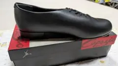 Item thumbnail for item 7e3ab096-f6ec-49a7-a44c-ff239b6b5e95