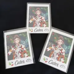 ツイステ展　ランダムカードコレクション　ケイト3枚