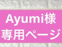 ☆Ayumi様専用ページ☆