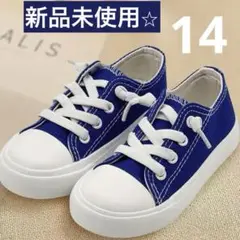 シューズ　青　ブルー　コンバース　converse 紐　ハロウィン　靴　コス
