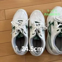 ムーンスター体育館シューズ　24.5cm