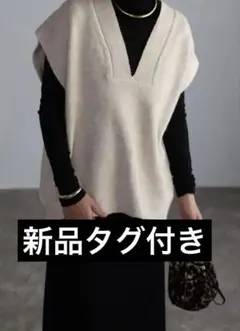 新品未使用タグ付き【Bonjour Sagan】ディープVネックニットベスト　F